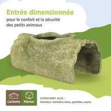 Charger l'image dans la galerie, Living World Cachette comestible - Tronc d'arbre - Verte - 170 gr (5,9 oz)
