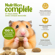 Charger l'image dans la galerie, Living World Extrusion nourriture pour hamsters - 1.5 kg
