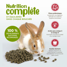 Charger l'image dans la galerie, Living World Extrusion nourriture pour lapin
