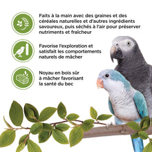 Charger l'image dans la galerie, Living World Gâteries pour perroquets - Bâtonnets aux légumes - Paquet de 2 - 90 gr
