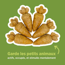 Charger l'image dans la galerie, Living World Jouet à mâcher comestible - Carottes - Orange - Paquet de 6 - 78 gr (2,7 oz)
