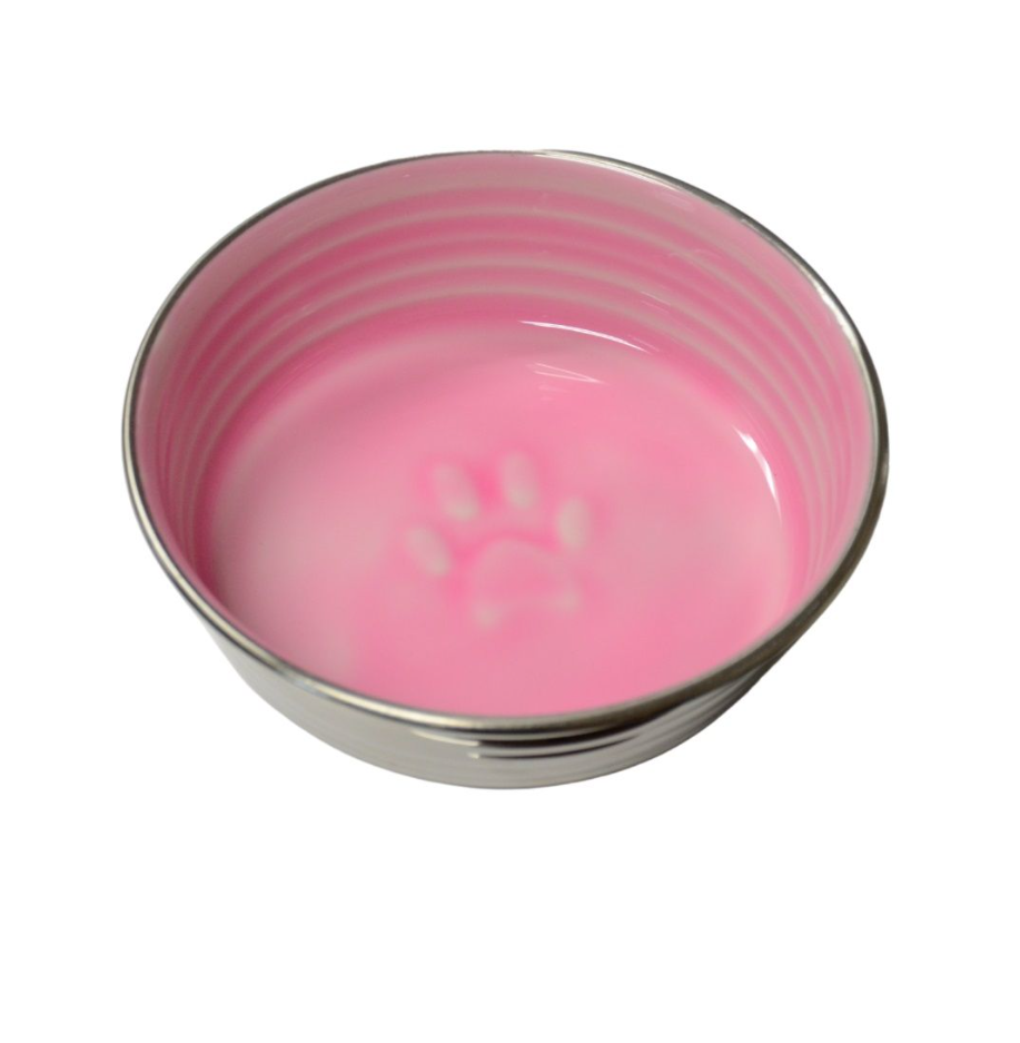 Ibasenice Gamelle épaisse Pour Chien Avec Alimentation Lente - Design