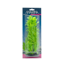 Charger l&#39;image dans la galerie, Hygrophila VibraScaper Marina, vert phosphorescent, grande, 30 cm (12 po)
