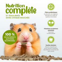 Charger l'image dans la galerie, Mélange d'aliments granulés Living World pour petit animaux - 900 gr
