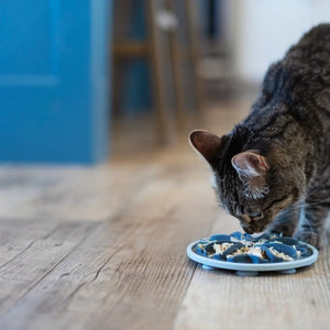 Messy Cats Bol ralentisseur à ventouses pour chat, Gris pâle