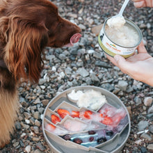 Charger l&#39;image dans la galerie, Messy Mutts Bol d&#39;alimentation en silicone - Gris à motif de montagnes
