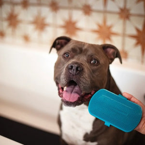 Messy Mutts Brosse de toilettage à double face en silicone, Bleue