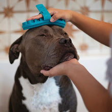Charger l&#39;image dans la galerie, Messy Mutts Brosse de toilettage à double face en silicone, Bleue
