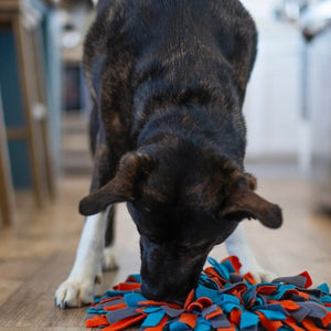 Messy Mutts Tapis de fouille à ventouses rond