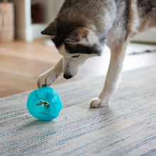 Charger l&#39;image dans la galerie, Messy Mutts &quot;Totally Pooched, Stuff&#39;n Wobble Ball&quot; Jouet Interactif Pour Chien, Bleu
