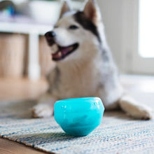 Charger l&#39;image dans la galerie, Messy Mutts &quot;Totally Pooched, Stuff&#39;n Wobble Ball&quot; Jouet Interactif Pour Chien, Bleu
