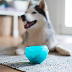 Messy Mutts "Totally Pooched, Stuff'n Wobble Ball" Jouet Interactif Pour Chien, Bleu