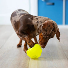 Charger l&#39;image dans la galerie, Messy Mutts &quot;Totally Pooched, Stuff&#39;n Wobble Ball&quot; Jouet interactif pour chien - 3 po - Vert
