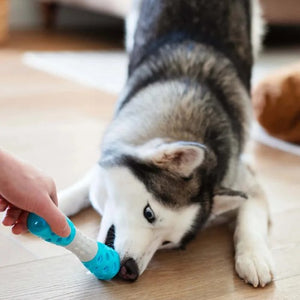 Messy Mutts ''Totally Pooched, Toss'n Hourglass'' Jouet sablier pour chien, Bleu