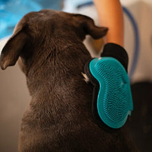 Charger l&#39;image dans la galerie, Messy Mutts Gant De Toilettage Avec brosse en silicone, Bleu
