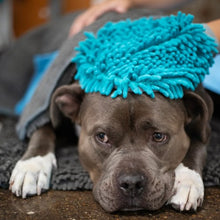 Charger l&#39;image dans la galerie, Messy Mutts Gant de toilettage en microfibre chenille, Bleu
