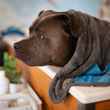 Charger l&#39;image dans la galerie, Messy Mutts Serviette en microfibre ultra douce, Grise
