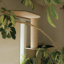 Charger l'image dans la galerie, Noba Origin – Collection murale – Ensemble complet - Aire de jeux verticale - Noir
