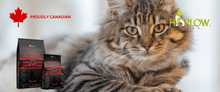 Charger l&#39;image dans la galerie, harlow blend nourriture pour chat_nourriture_canadienne_pour_chat
