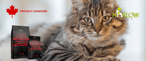 harlow blend nourriture pour chat_nourriture_canadienne_pour_chat