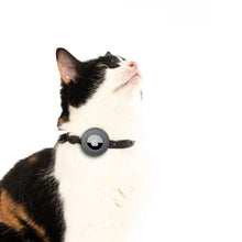 Charger l&#39;image dans la galerie, Nuvuq Collier ajustable avec attache de sécurité pour chat - Noir - Avec étui pour &quot;Airtag&quot; gris
