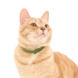 Nuvuq Collier ajustable avec attache de sécurité pour chat - Vert olive
