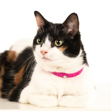 Charger l&#39;image dans la galerie, Nuvuq Collier ajustable avec attache de sécurité pour chat, Rose framboise
