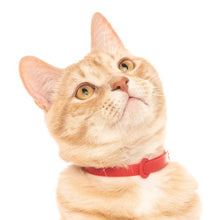 Charger l&#39;image dans la galerie, Nuvuq Collier ajustable avec attache de sécurité pour chat, Rouge tomate
