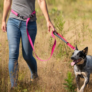 Nuvuq Laisse multifonctionnelle pour chien, Rose framboise