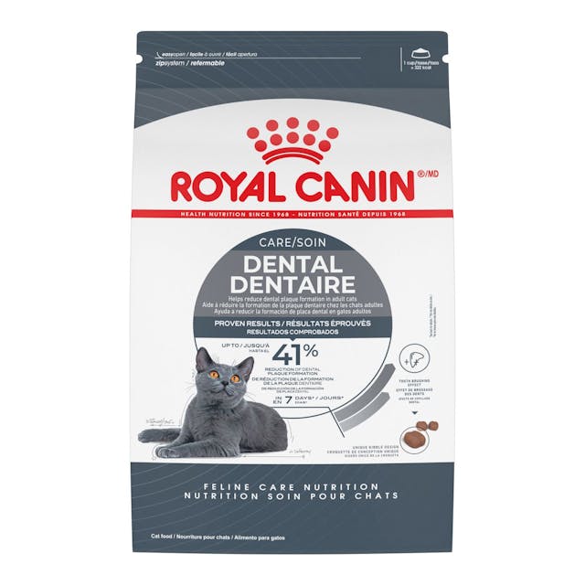 Nourriture Royal Canin pour Chat Soin Dentaire
