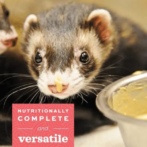 Oxbow Critical Care - Suppléments pour carnivore à base d'oeuf et de poulet