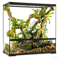 Charger l'image dans la galerie, Paludarium professionnel Exo Terra, habitat avancé naturel, grand/très haut, 90 x 45 x 90 cm (35 x 18 x 35 po)
