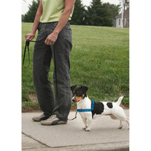 Charger l&#39;image dans la galerie, PetSafe Harnais pour chien deluxe &quot;Easy Walk&quot; - Rouge
