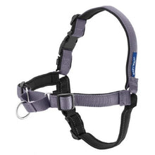Charger l'image dans la galerie, PetSafe Harnais pour chien deluxe "Easy Walk" - Gris
