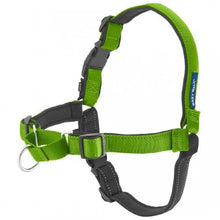 Charger l'image dans la galerie, PetSafe Harnais pour chien deluxe "Easy Walk" - Vert
