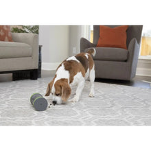 Charger l&#39;image dans la galerie, Petsafe Distributeur de gâteries pour chien &quot;Mobile Kibble Chase&quot;
