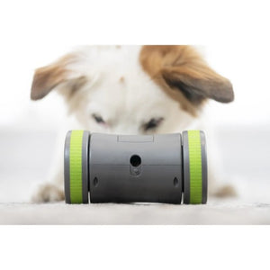 Petsafe Distributeur de gâteries pour chien "Mobile Kibble Chase"