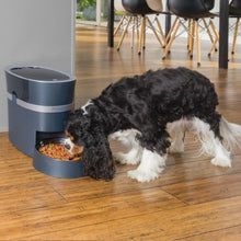Charger l&#39;image dans la galerie, Petsafe Distributeur de nourriture automatique Smart Feed - Jusqu&#39;à 24 tasses

