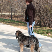 Charger l&#39;image dans la galerie, Petsafe Harnais de levage pour chien CareLift - Arrière seulement
