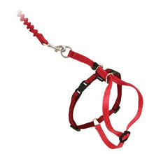Charger l&#39;image dans la galerie, Petsafe Harnais et laisse bungee pour chat - Come With Me Kitty - Rouge
