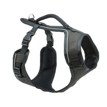 Charger l&#39;image dans la galerie, Petsafe Harnais pour chien EasySport - Noir
