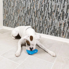 Charger l&#39;image dans la galerie, Petsafe Jouet pour chien - Chilly pingouin
