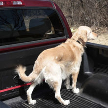 Charger l&#39;image dans la galerie, Petsafe Ligne de sécurité pour voiture Pupzip
