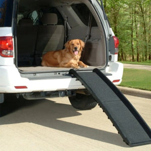 Petsafe Rampe ultra légerte pliable