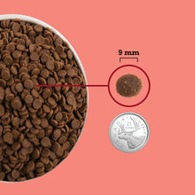 Charger l&#39;image dans la galerie, ACANA Chat Plus Forte Teneur En Protéines, Chat d&#39;intérieur
