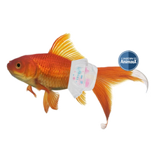 Charger l&#39;image dans la galerie, Couche H2ya Aqua-Confort pour poissons incontinents
