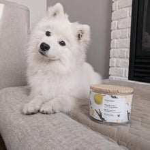 Charger l&#39;image dans la galerie, Purodora Lab Bougie de soya - Neutralisant d&#39;odeurs d&#39;animaux - Poire et genévrier 13 oz

