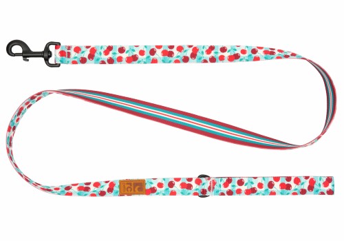 RC Pets Laisse Eco - Buffet de cerises / Rayures du verger