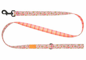 RC Pets Laisse Eco - Joie de marguerite / Vichy joyeux