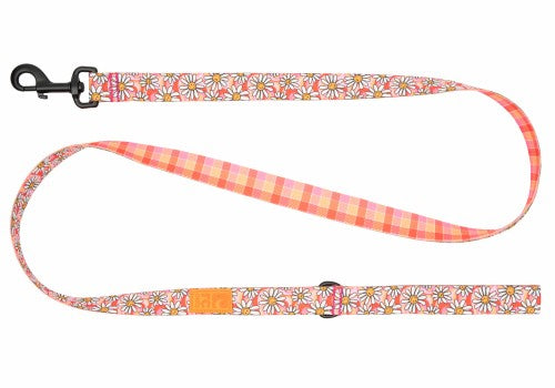 RC Pets Laisse Eco - Joie de marguerite / Vichy joyeux